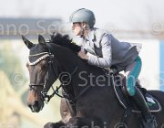 Capponi Royal Star TosTour 2013- S5 3439 : Arezzo Equestrian Centre, Capponi Francesca, Royal Star, Toscana Tour 2013, foto di Stefano Secchi ©